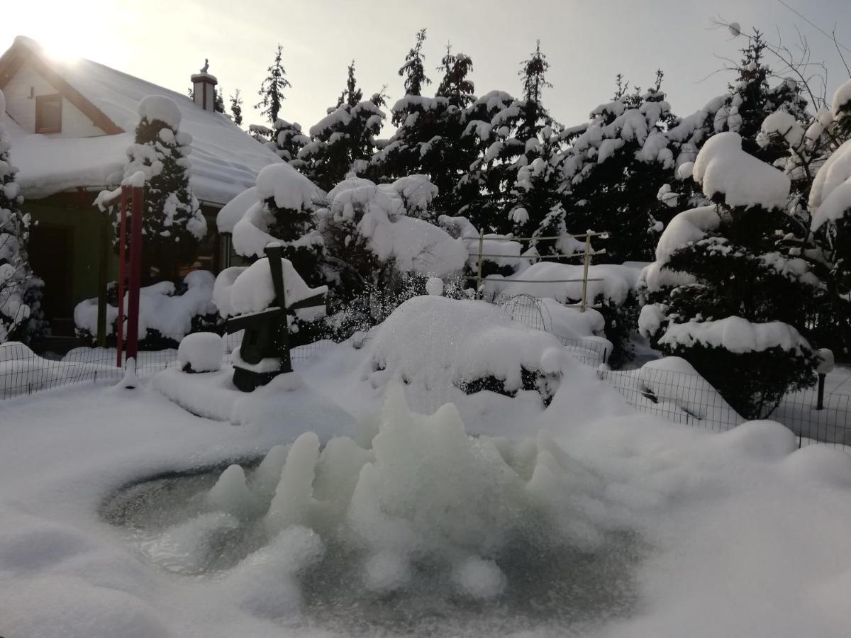 Noclegi I Restauracja Gracja Bełchatów Exteriör bild
