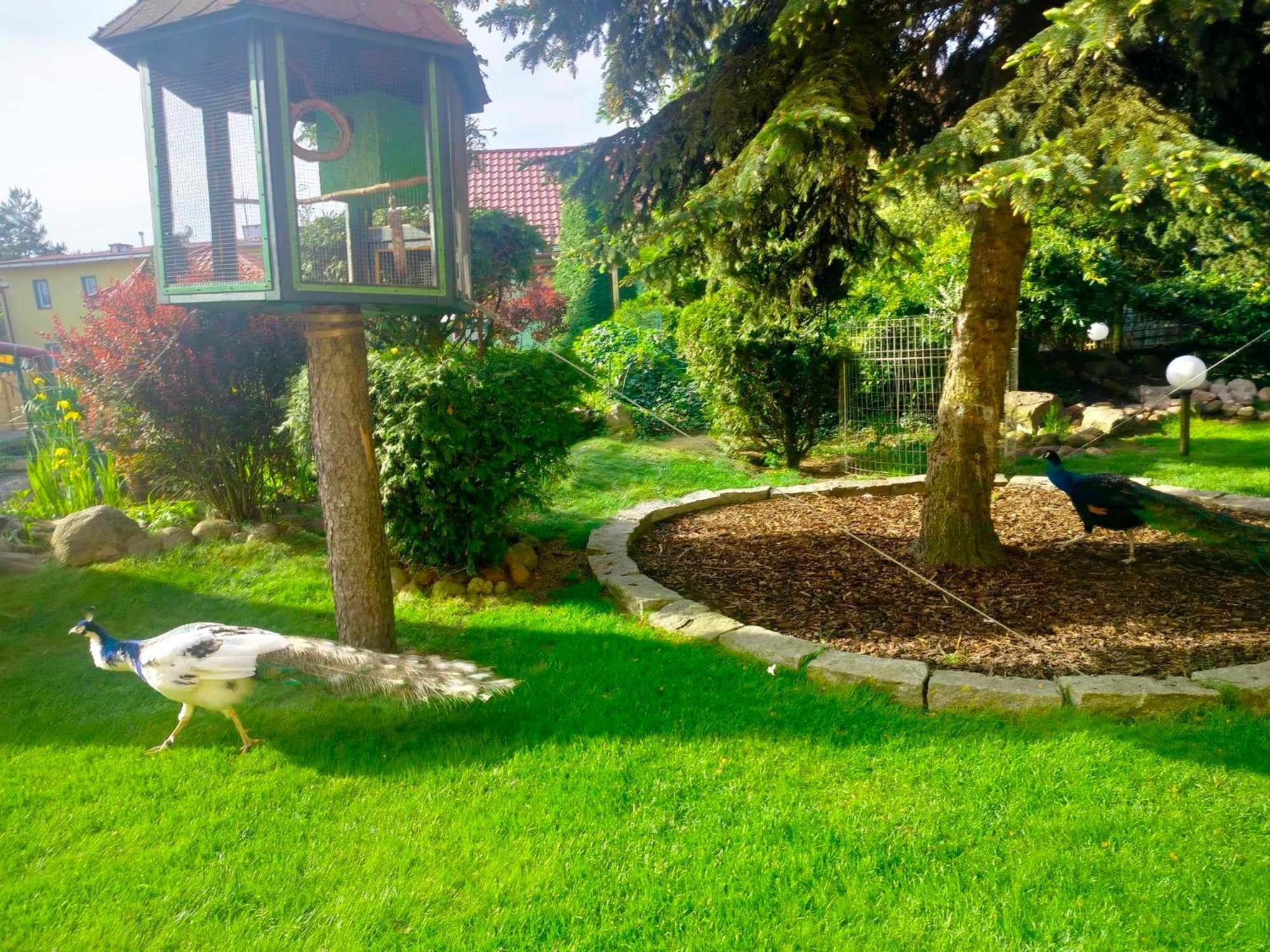 Noclegi I Restauracja Gracja Bełchatów Exteriör bild